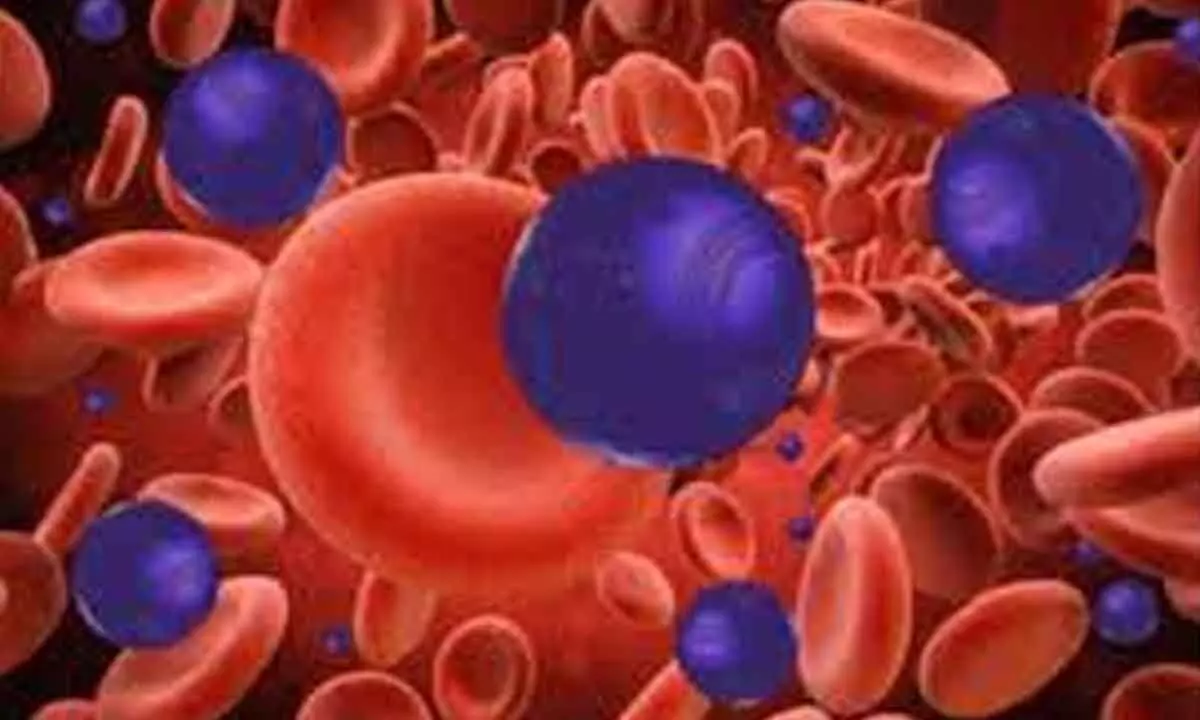 Nanorobots can shrink bladder tumours by 90%, shows study Nanorobots can shrink bladder tumours by 90%, shows study