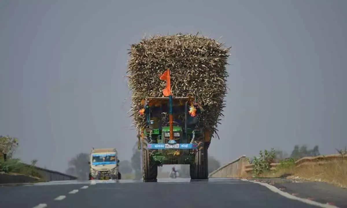 Govt imposes 50% export duty on molasses