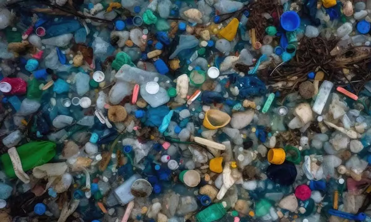 Your recycled plastic may be more dangerous than you think