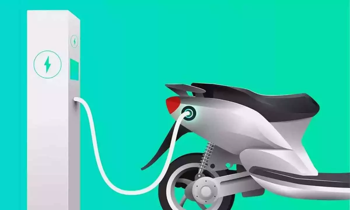 Subsidy withdrawal on EVs may lead to stagnated growth