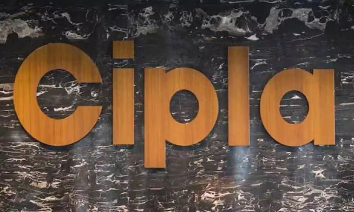 Cipla shares rise 8%