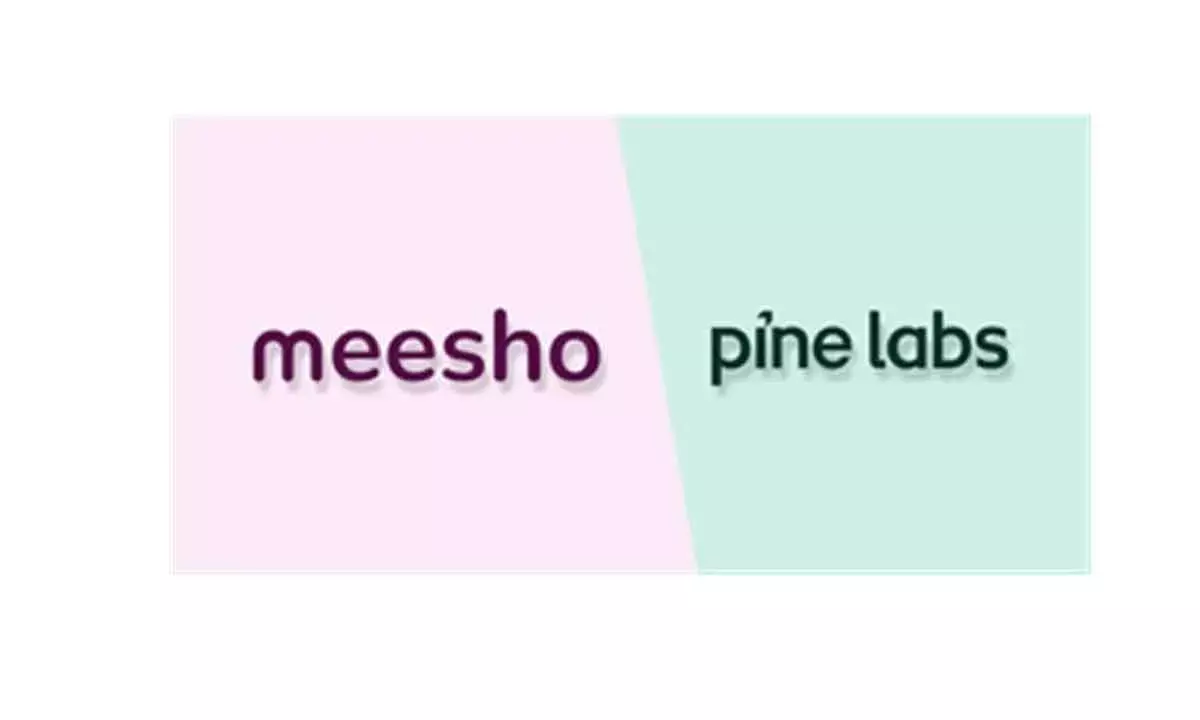 Fidelity cuts valuation of Pine Labs, Meesho