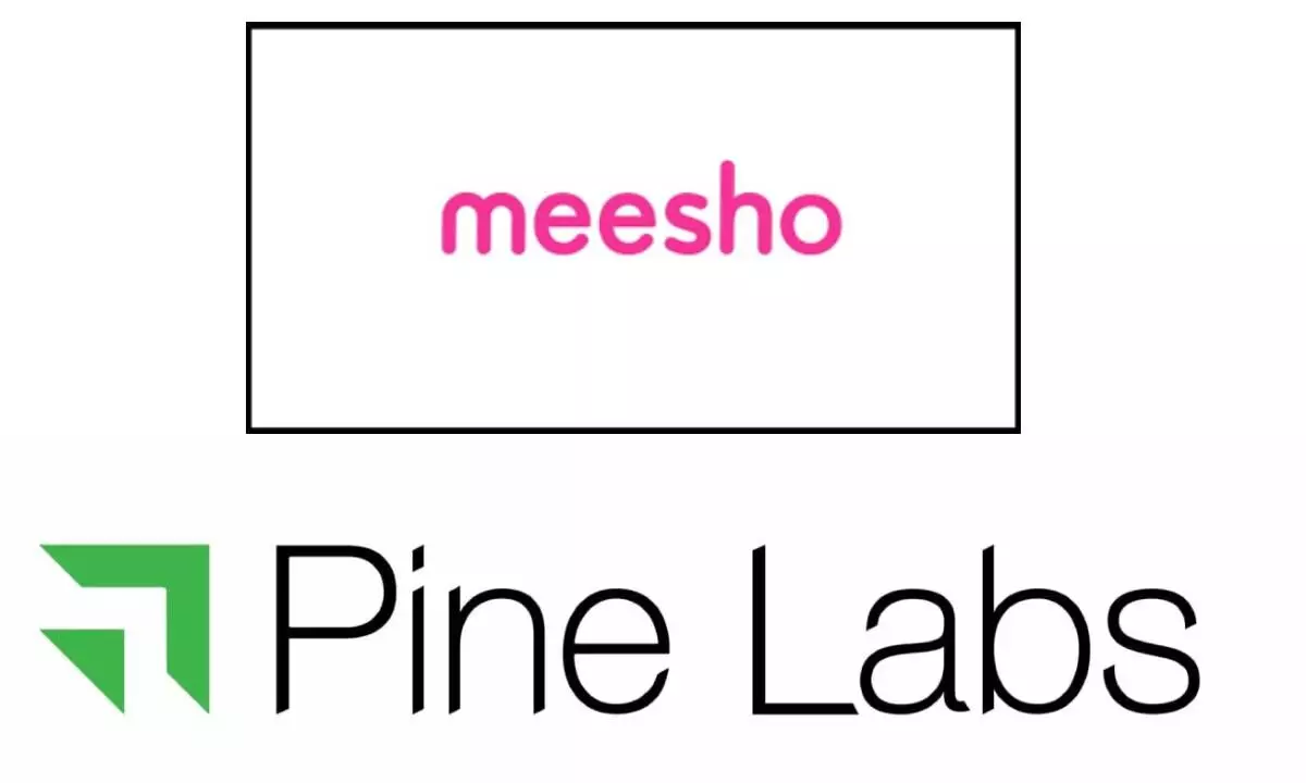 US-based investment firm Fidelity cuts valuation of Pine Labs, Meesho
