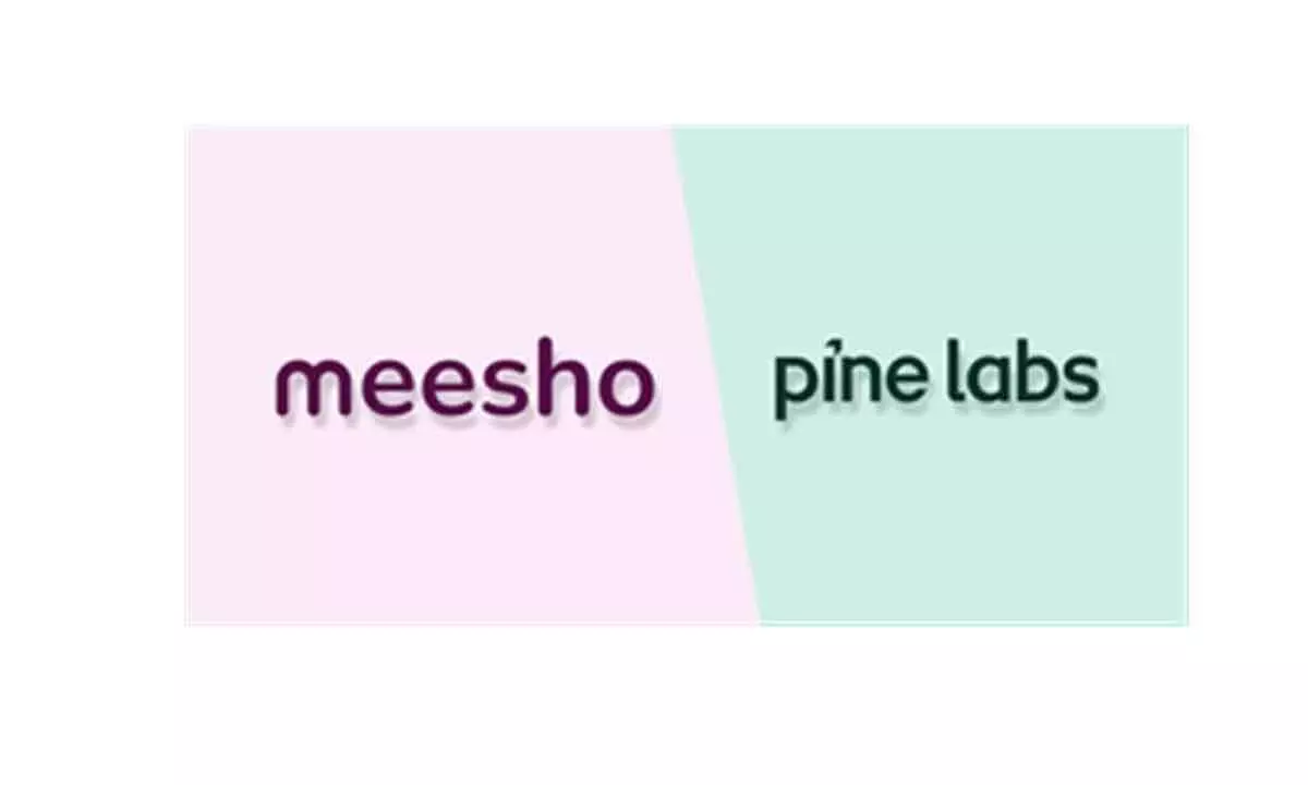 Fidelity cuts valuation of Pine Labs, Meesho