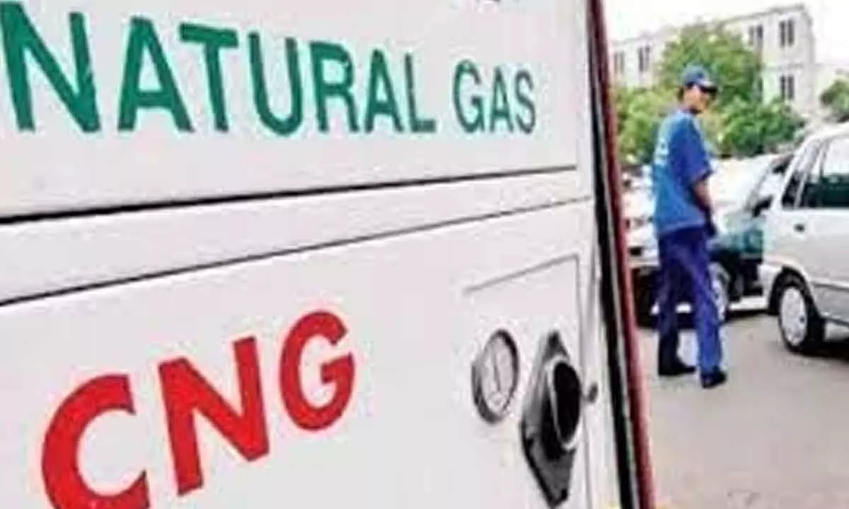 Gas demand to rise 6% in 2024: IEA