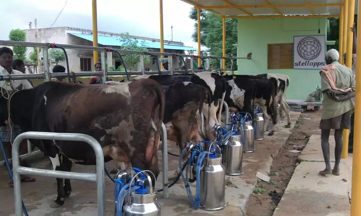 Dairy tech startup Stellapps in discussions to raise $20 mn in new funding round