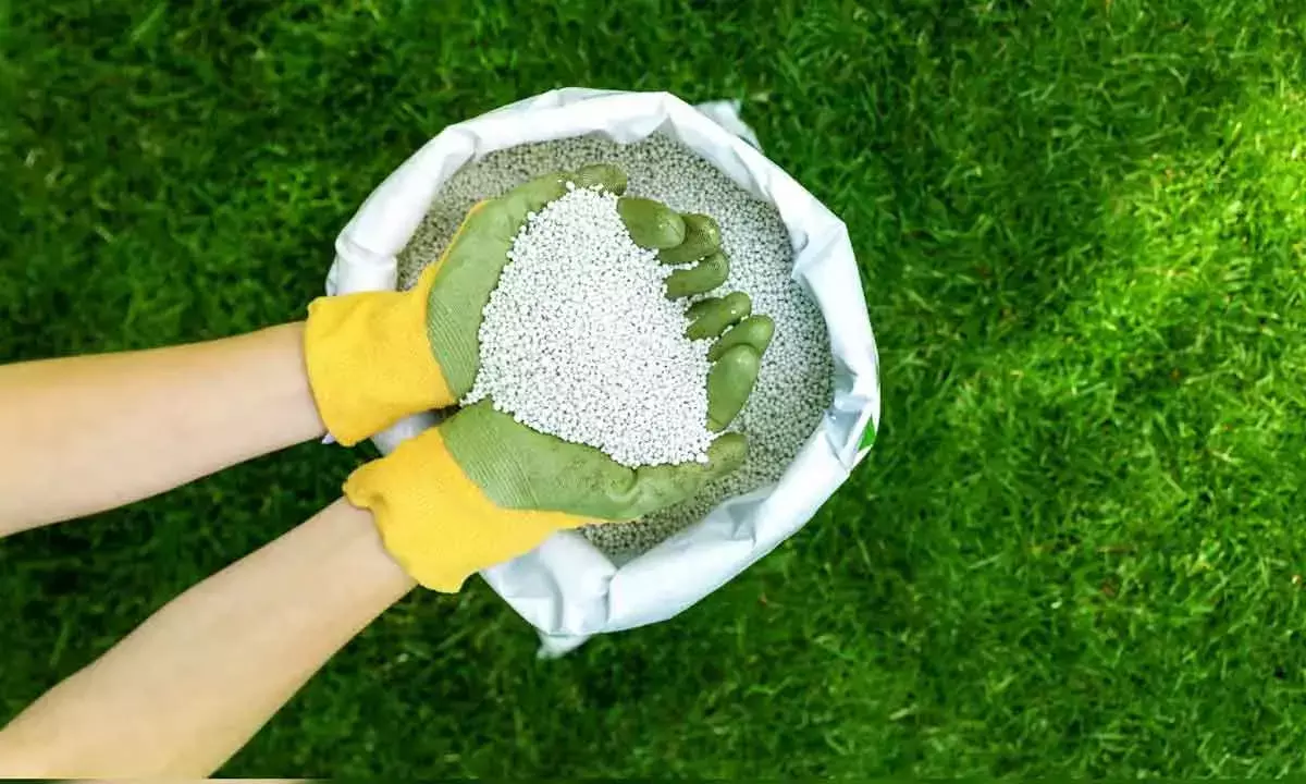 Interim Budget 2024: Govt clears gas mkting fee for fertilizer units