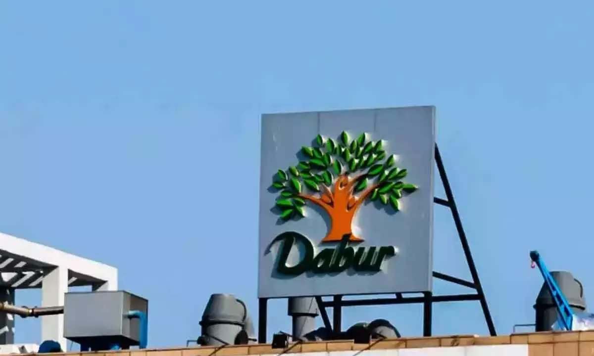 Dabur to set up Rs 135-cr unit in South India