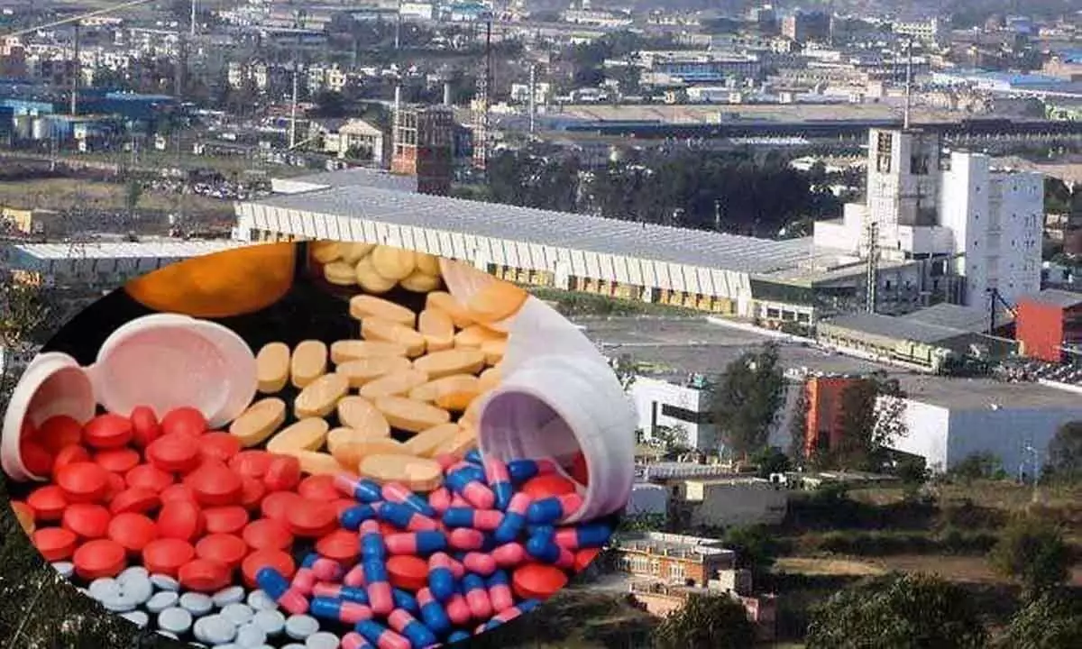 Interim Budget 2024: Rs 1,000-cr outlay for bulk drug parks