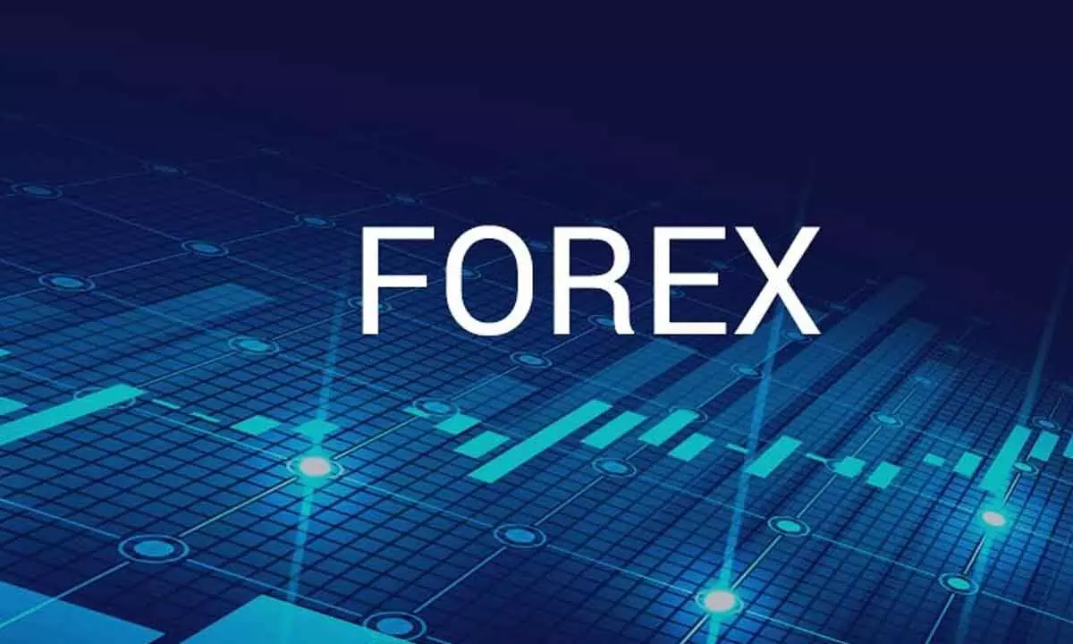 Forex kitty swells by $591 mn to $616.7 bn