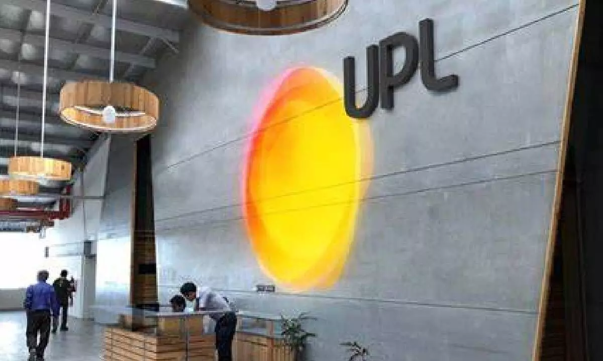 UPL shares hit 52 week low after 9% slump
