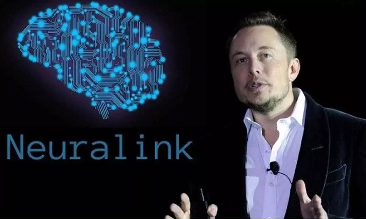Musk’s pioneering Neuralink must swear by research integrity and patient care