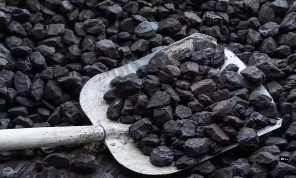 Coal production rises 10% in Jan