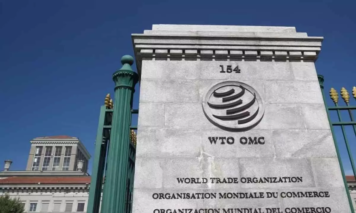 India firm on only trade issues at WTO