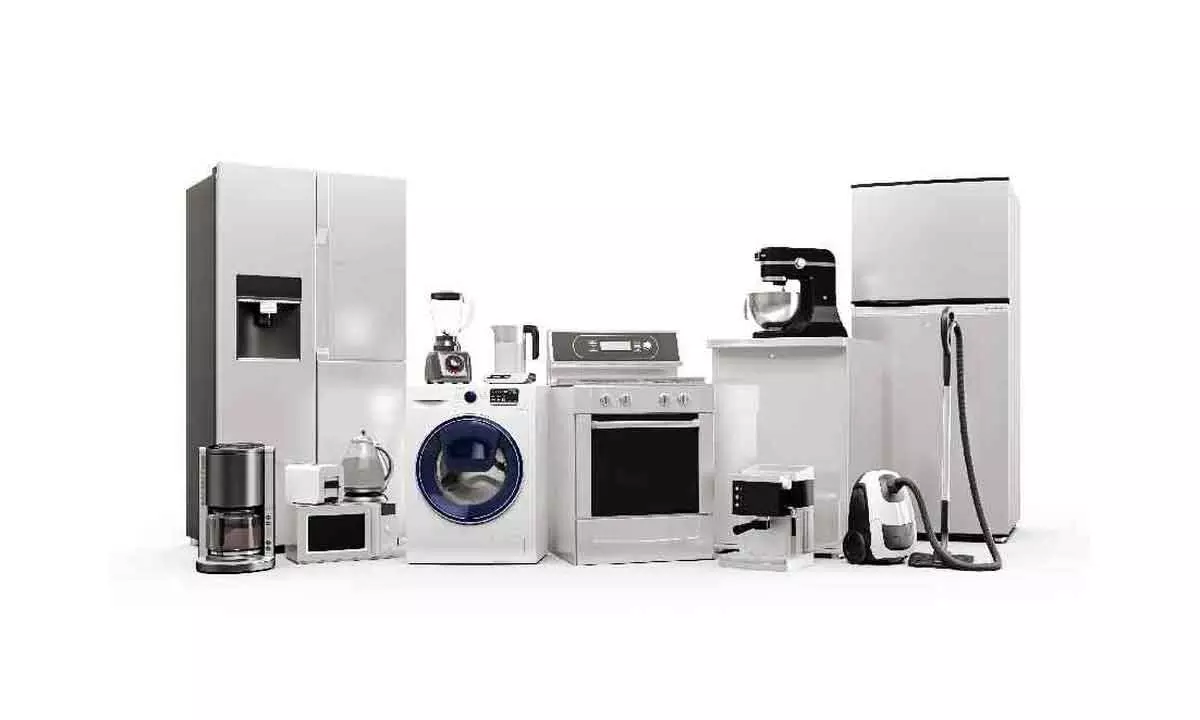 White goods sector shines in PLI push