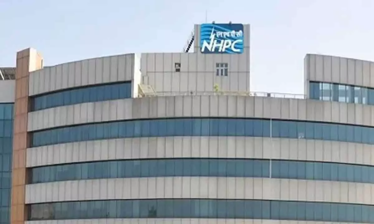 NHPC shares nosedive 16%