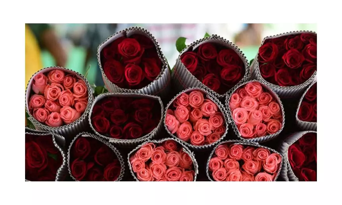 Nepal importing over 3 lakh roses from India for Valentines Day