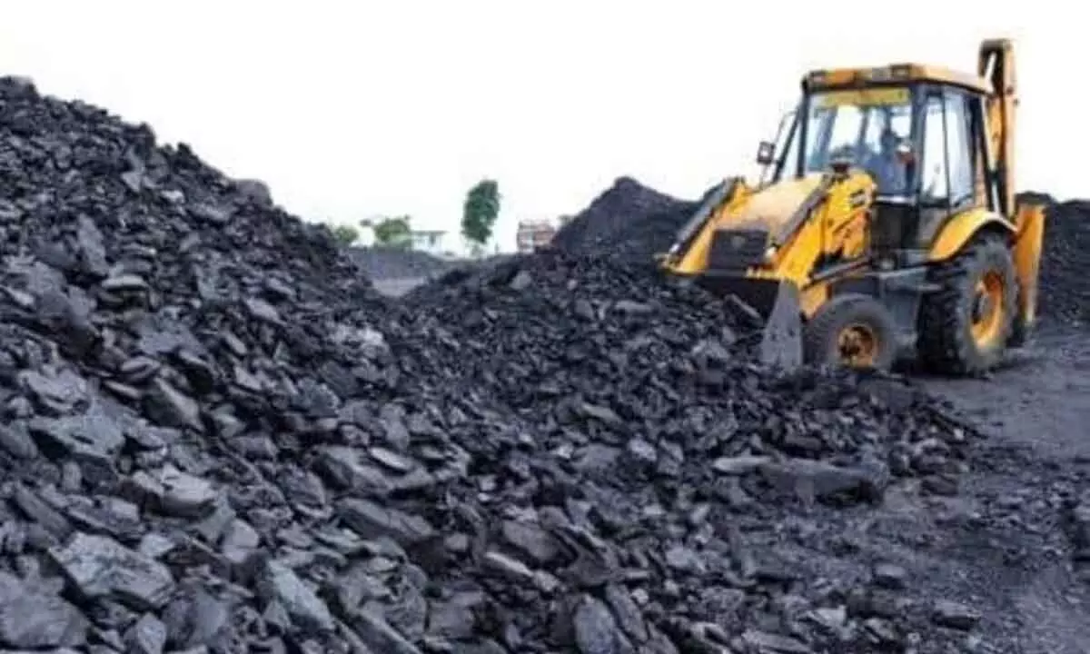 Coal India shares rise 5%