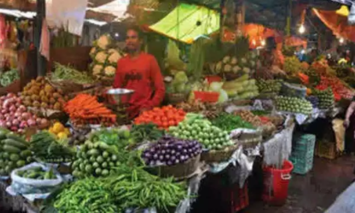 WPI inflation falls to 3-mth low