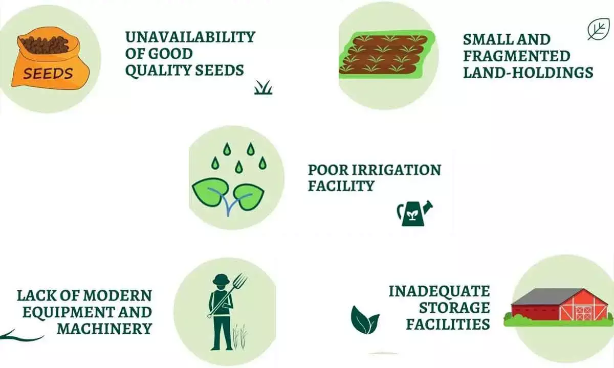 Uplift the farming community or just forget Sabka Saath Sabka Vikas