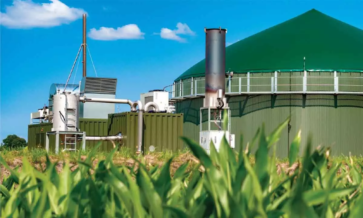 Biogas segment gets Rs 564-cr govt boost