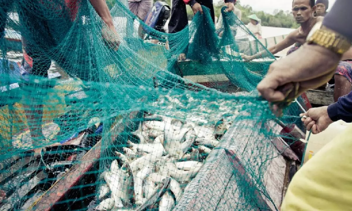 Govt ropes in ONDC to bring fishermen on e-market platform
