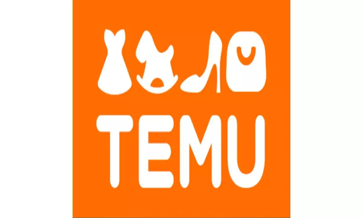 Chinese marketplace Temu under scanner for breaching EUs Digital Services Act