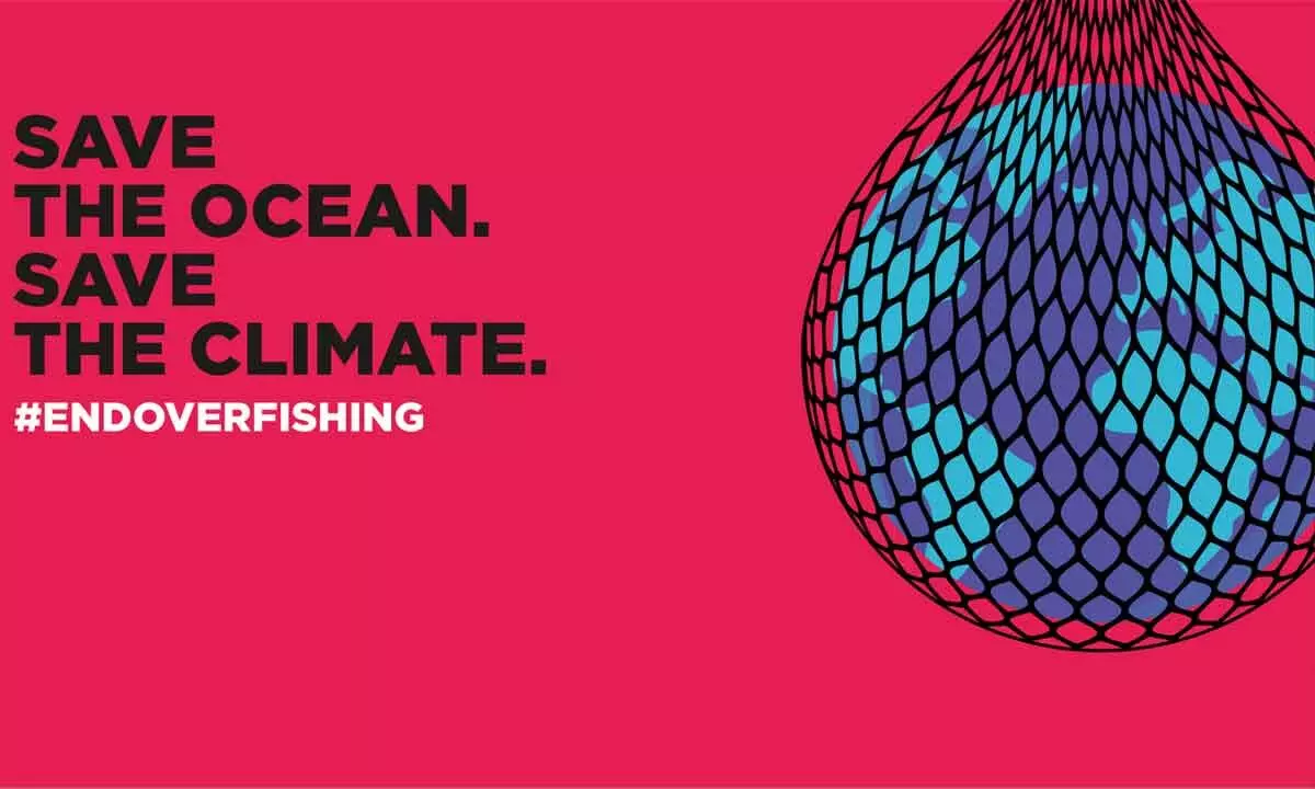 Halting overfishing is the most effective lynchpin for climate action