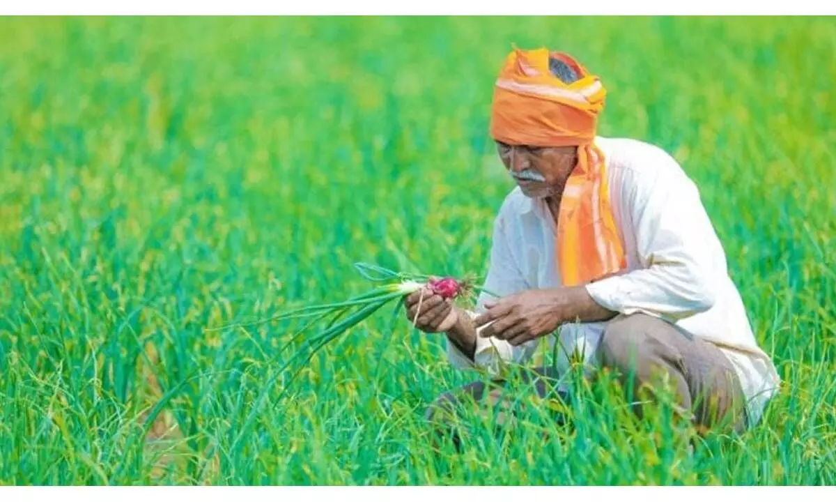 TN govt to set up 100 farmers markets: Minister