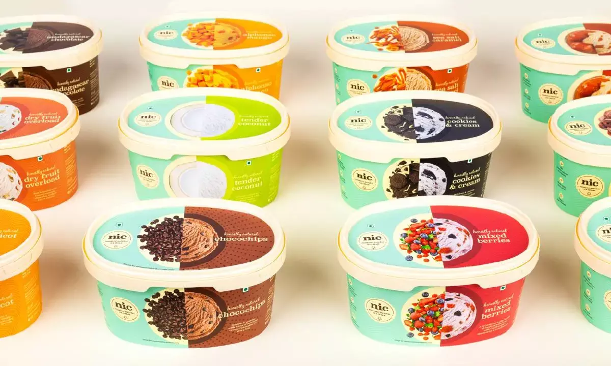 Jungle Ventures infuses another $20 mn in Indian ice cream brand Walko Food