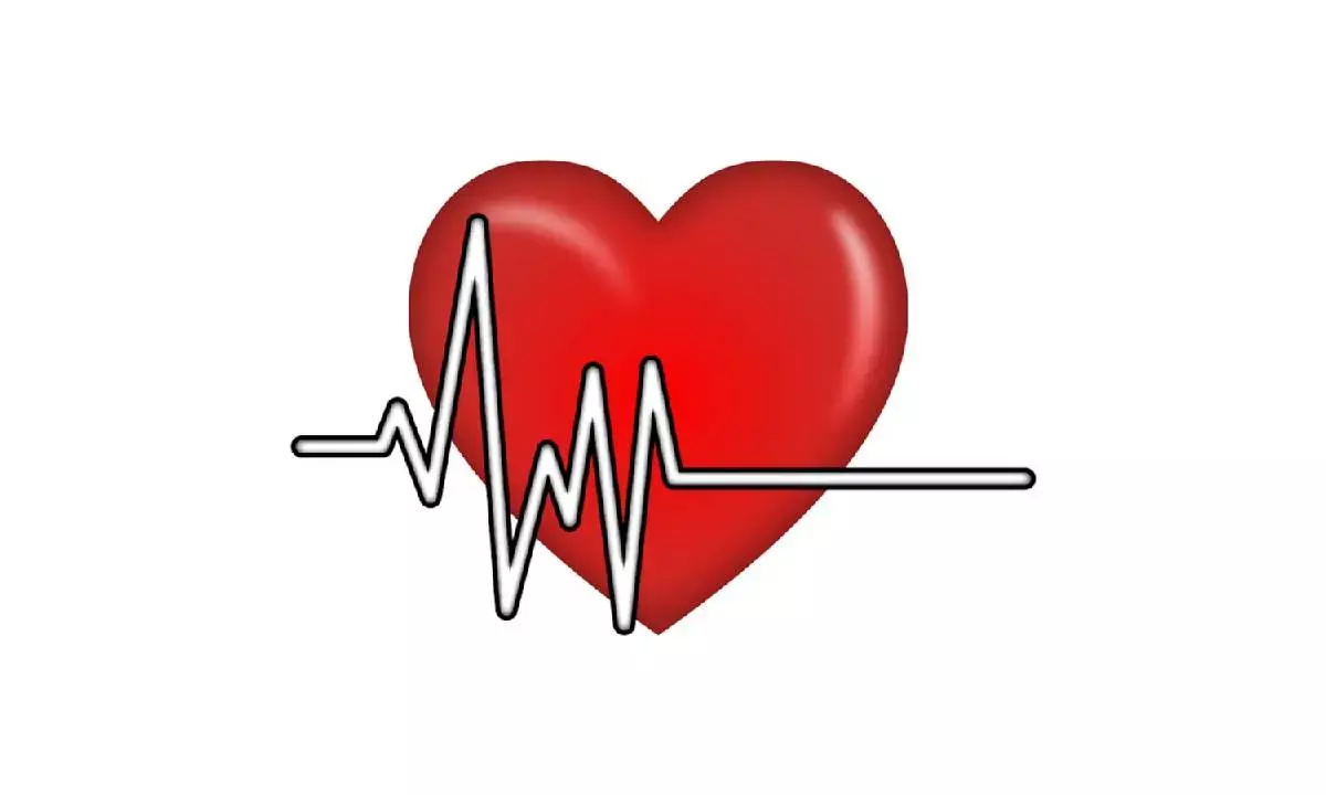 Fetal stage ideal time for diagnosis of congenital heart diseases among kids: Experts