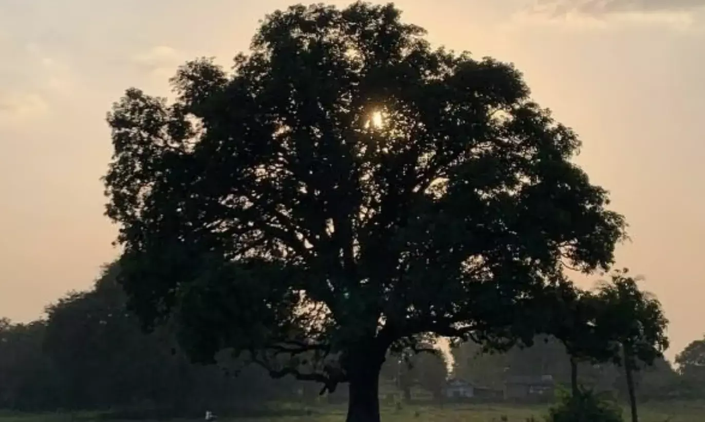 Panchayats fictional village Phulera scenes filmed in Mahodiya, Madhya Pradesh