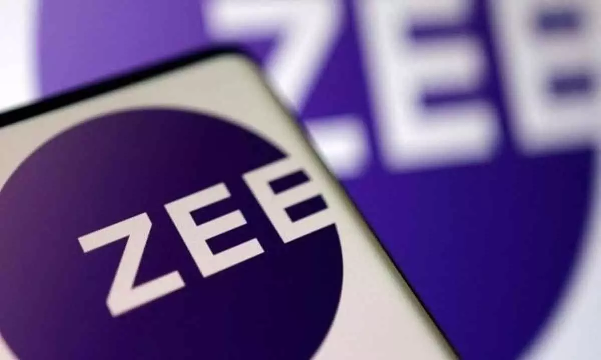 ZEEL shares fall 12% to lower circuit
