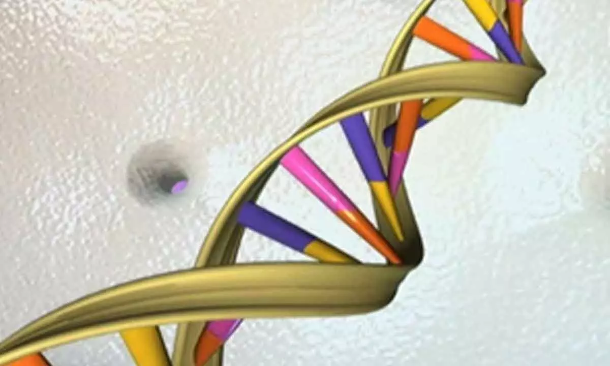 Researchers discover 275 mn genetic variants