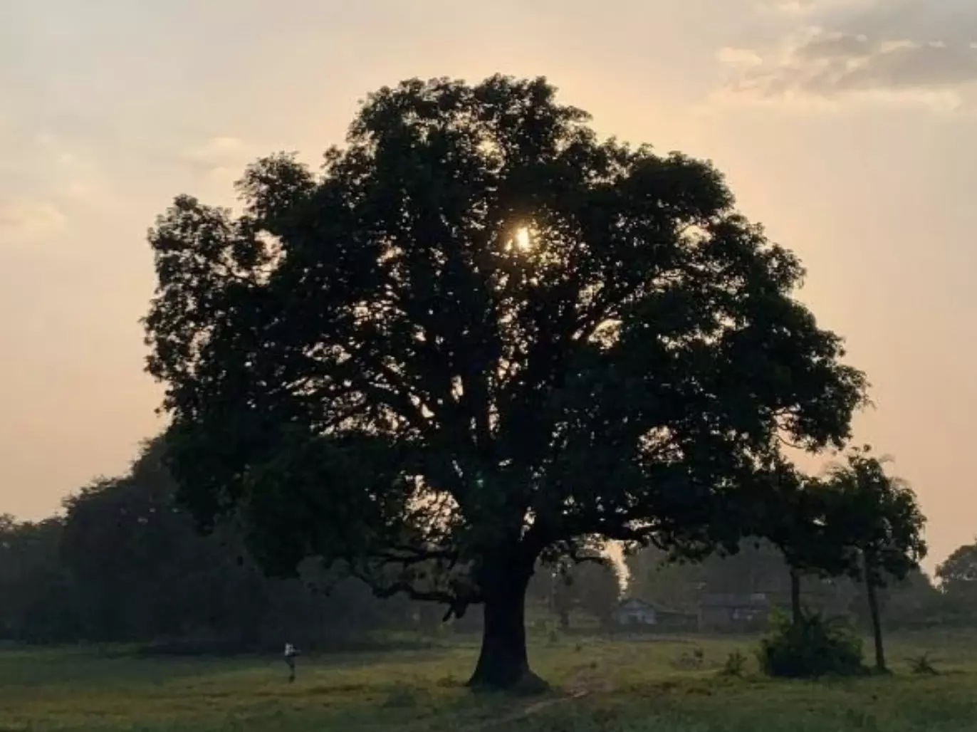 Panchayats fictional village Phulera scenes filmed in Mahodiya, Madhya Pradesh