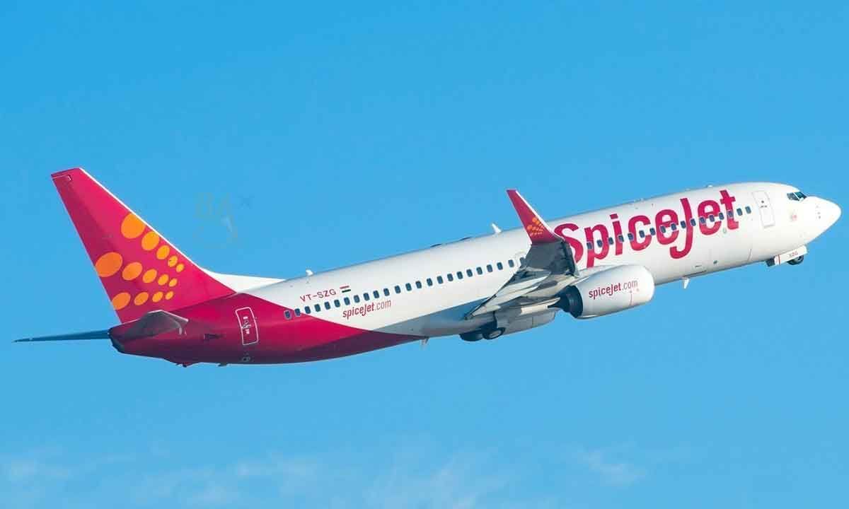 SpiceJet raises Rs 316 cr via preferential issue