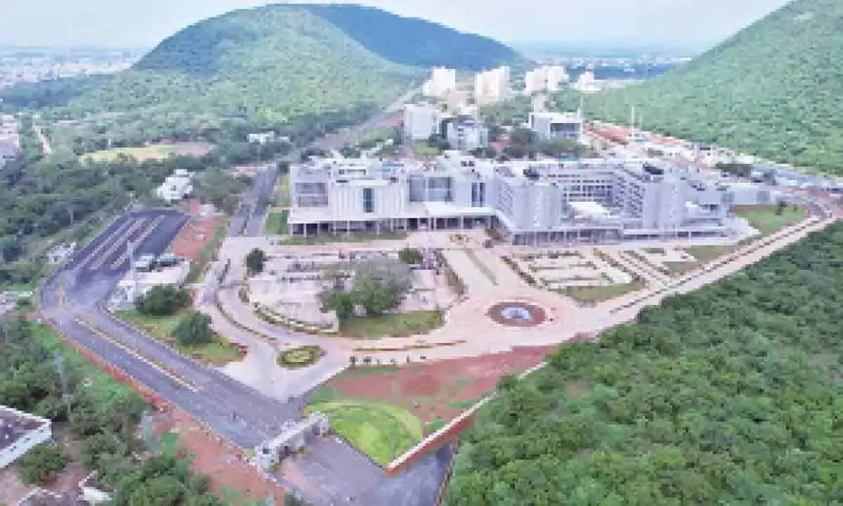 The hospital that grew from a forest