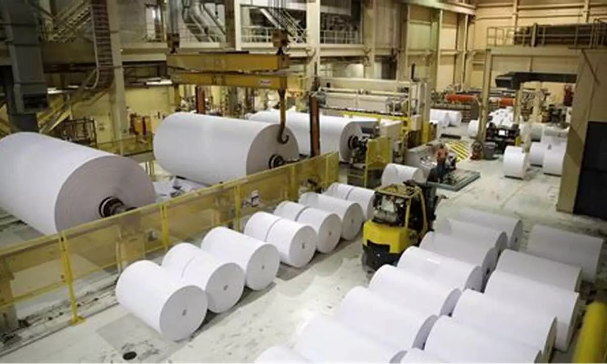 Paper and paperboard imports rise 37% in Apr-Dec