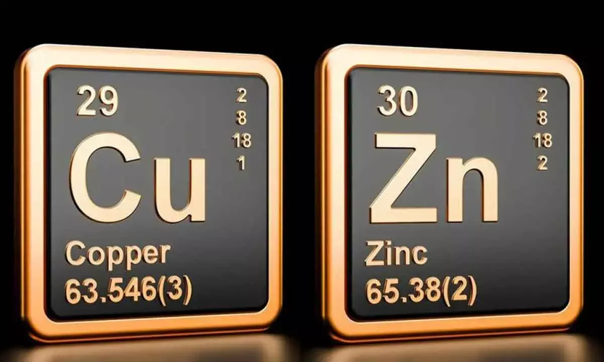 Commodity Watch: Copper futures gain on firm spot demand