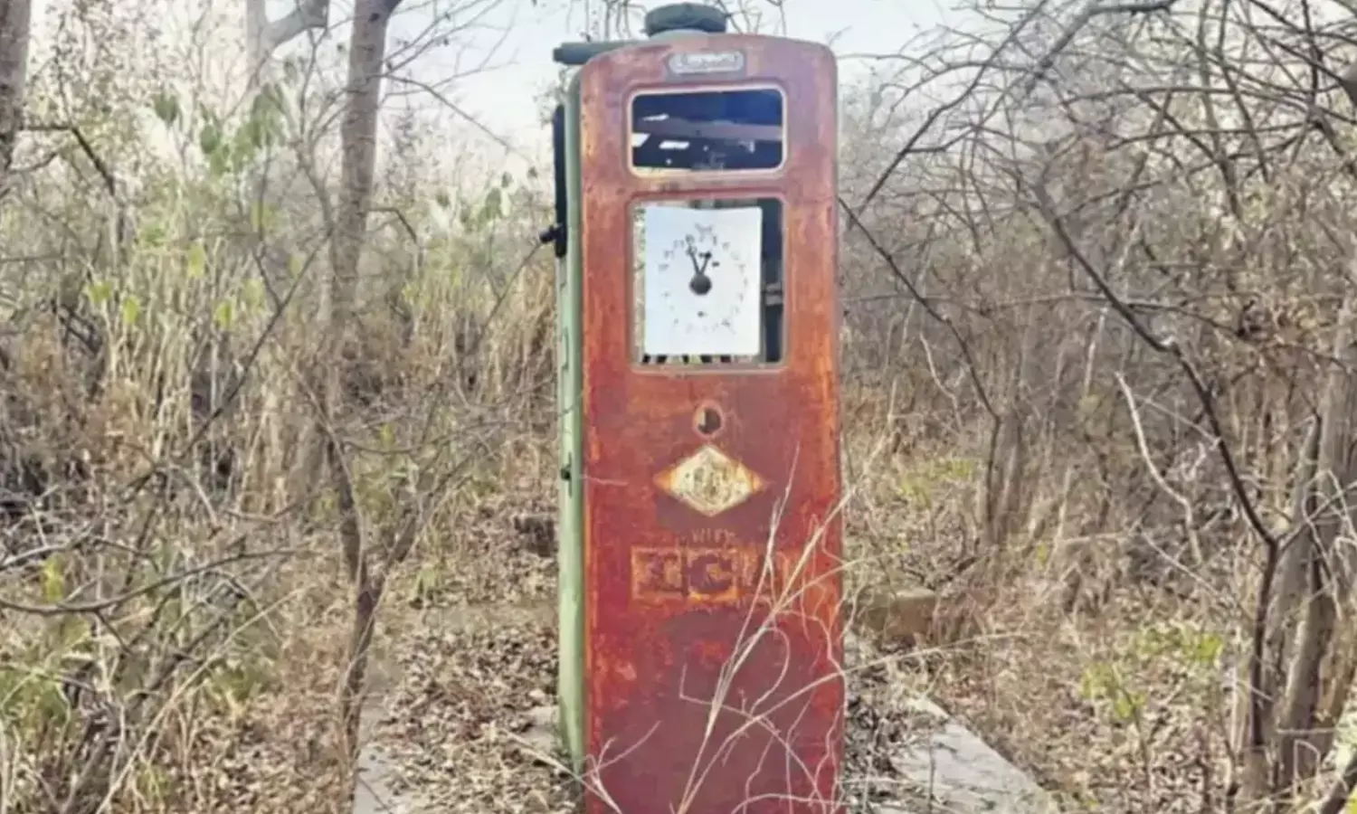 A leisurely stroll unveils relics of Nizams personal petrol pump in KBR National Park!