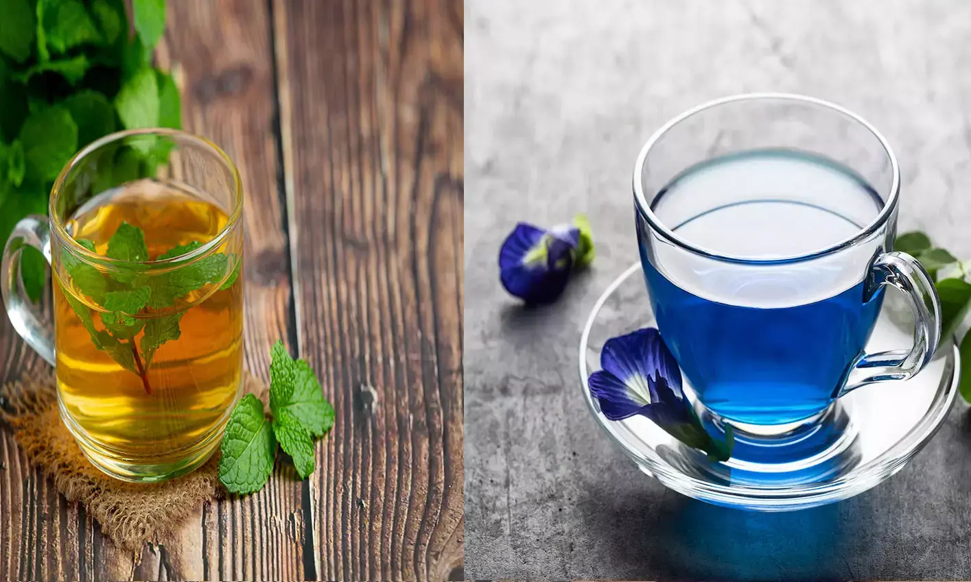 Which Tea Helps You Lose Weight: Green Tea or Butterfly Pea Tea?