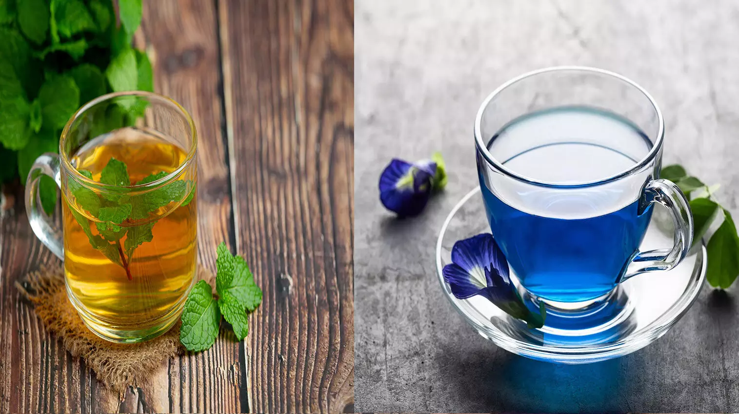 Which Tea Helps You Lose Weight: Green Tea or Butterfly Pea Tea?