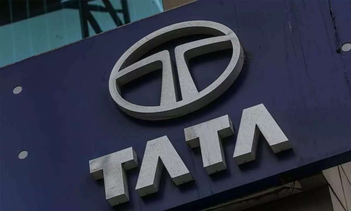 Tata Chemicals shares plunge more than 8 per cent