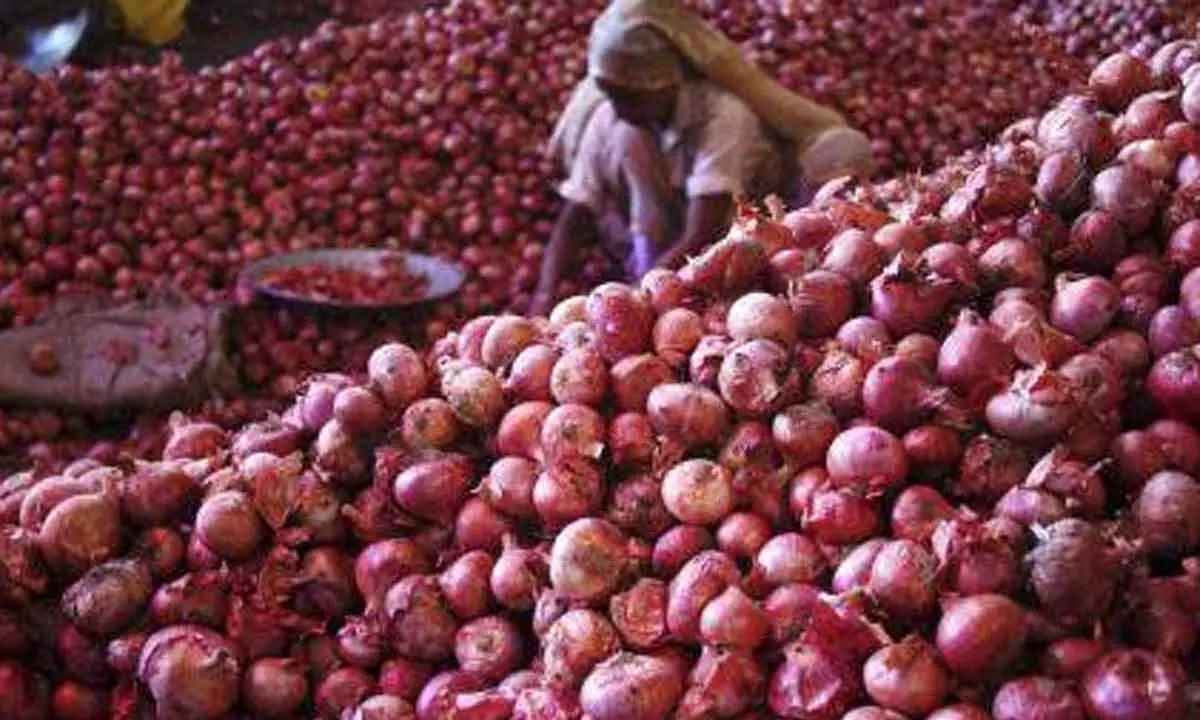 Govt allows export of onion to Bangladesh, UAE with riders