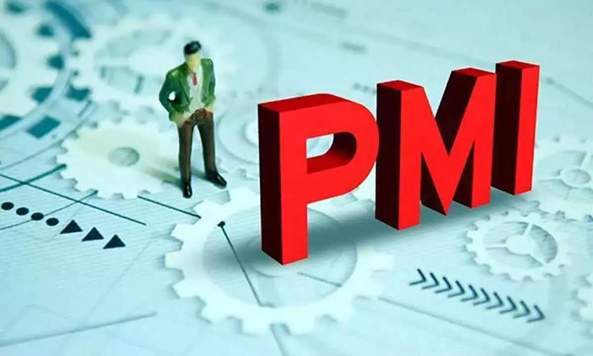 PMI services hits slow lane in Feb