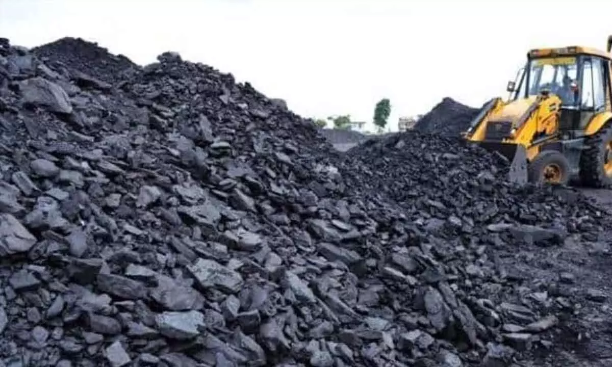 Coal production surges by 11.83% in February