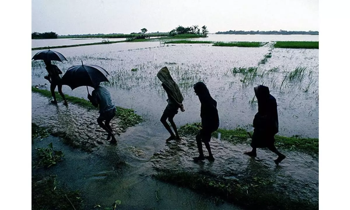 Study decodes how land conditions impact summer monsoons in Asia