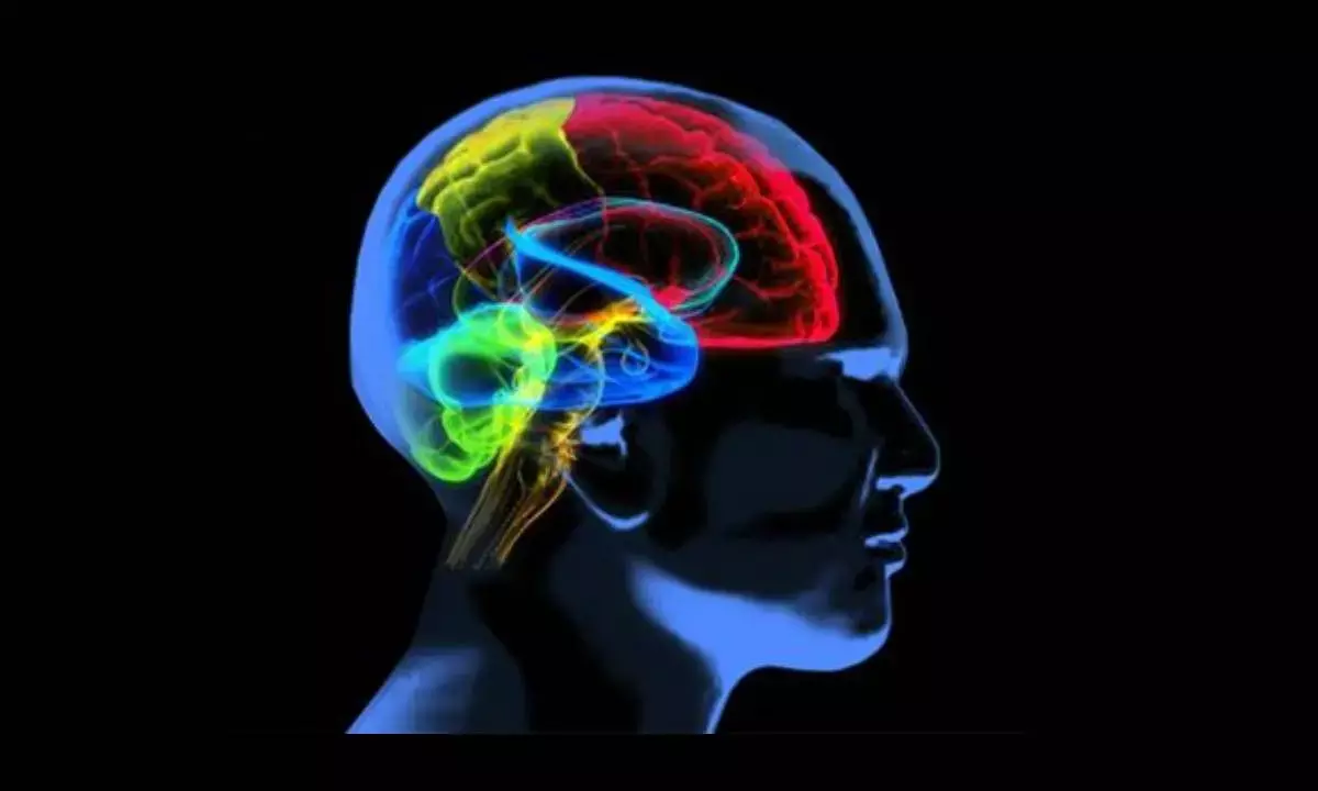 Polyglots brain works differently with native language: MIT study