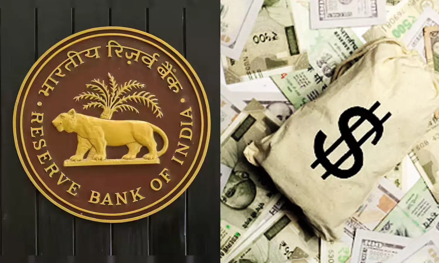 Forex Reserves Surge by Over $10 Billion, Reaching Over a Two-Year High