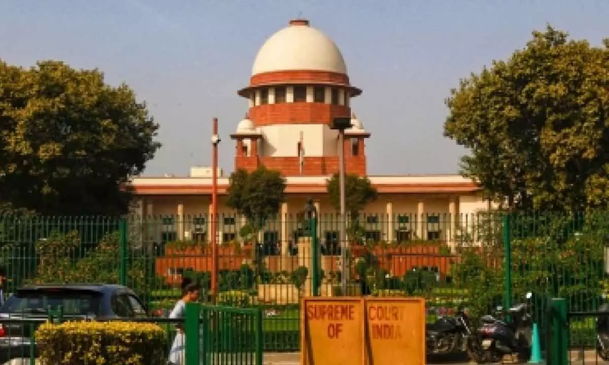 Supreme Court in action: Will institutions change course?